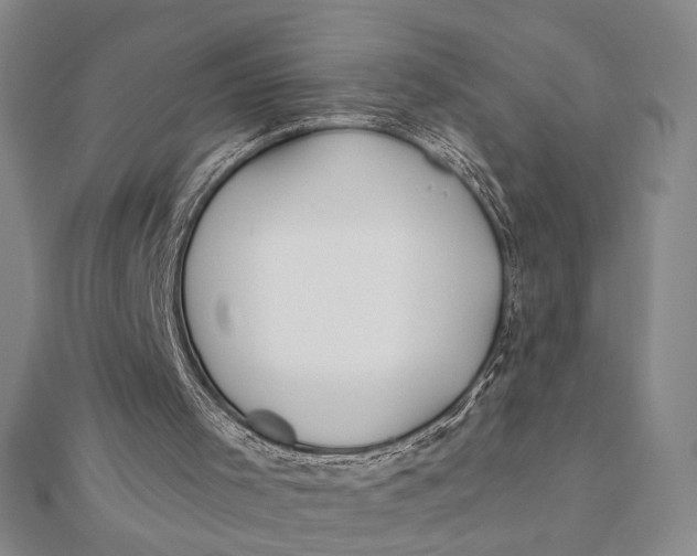 X0000112060001200908251031