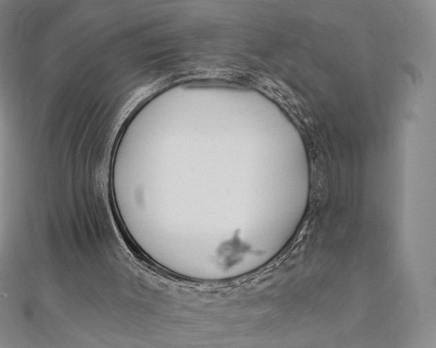 X0000112060003200908251031