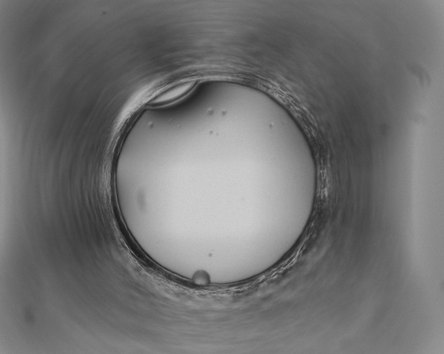 X0000112060004200908251031