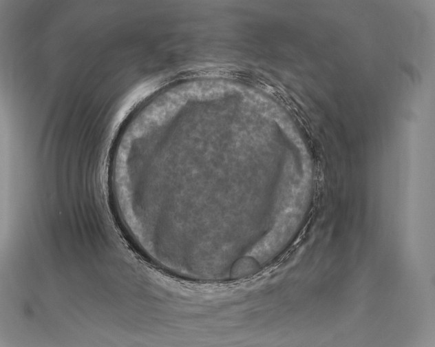 X0000112060006200908251031