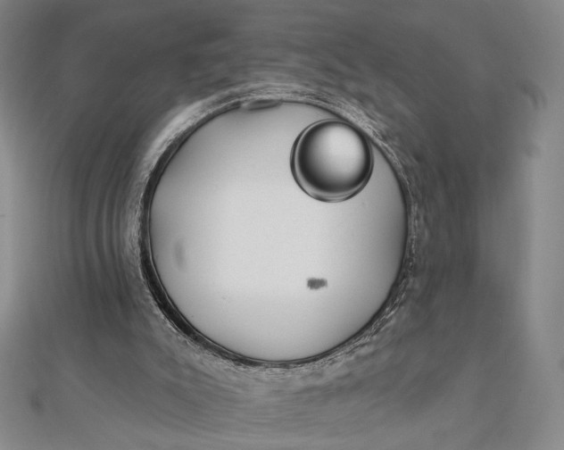 X0000112060007200908251031