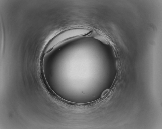 X0000112060008200908251031