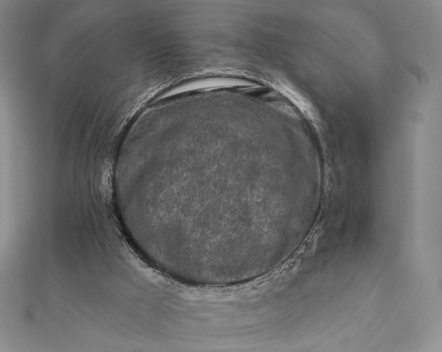 X0000112060009200908251031