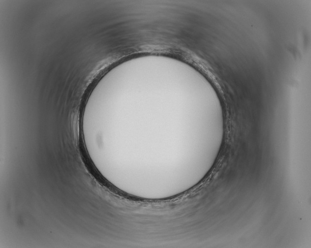 X0000112060011200908251031