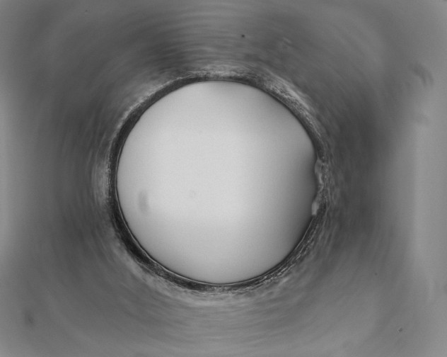 X0000112060012200908251031