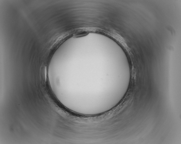 X0000112060013200908251031