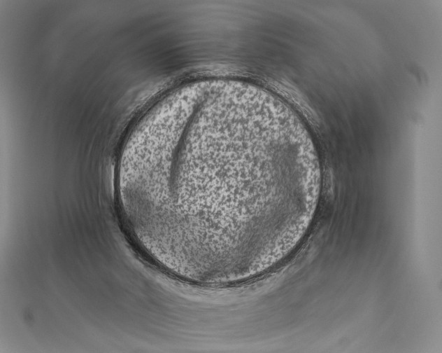 X0000112060014200908251031