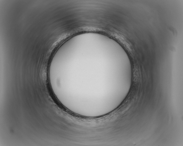 X0000112060015200908251031