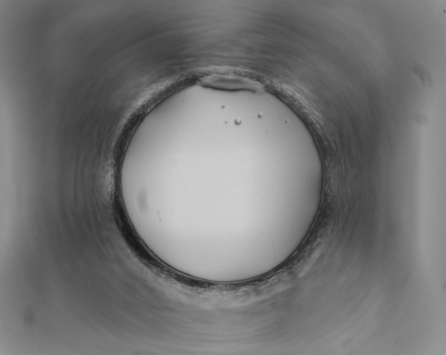 X0000112060016200908251031