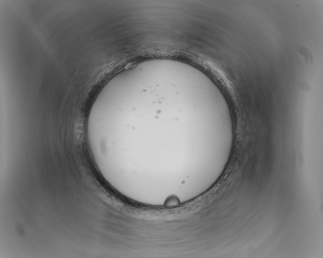 X0000112060017200908251031