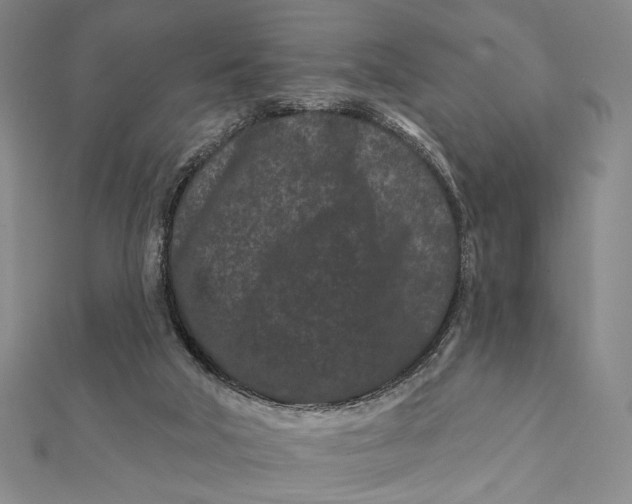 X0000112060018200908251031