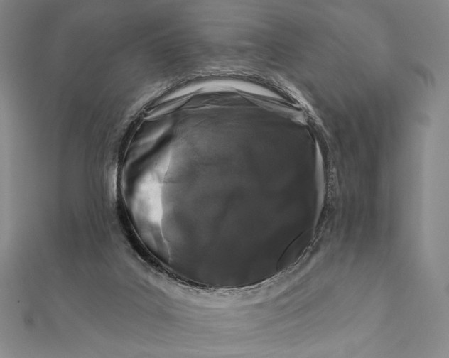 X0000112060019200908251031