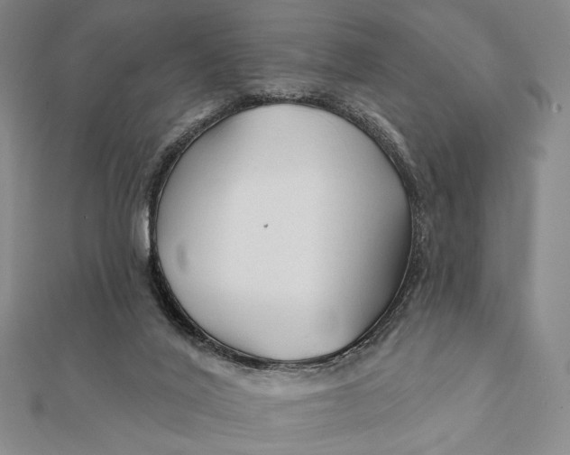 X0000112060020200908251031