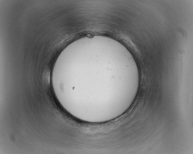 X0000112060021200908251031