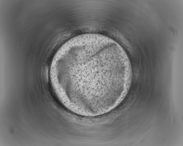 X0000112060022200908251031