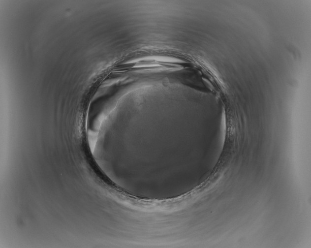 X0000112060023200908251031