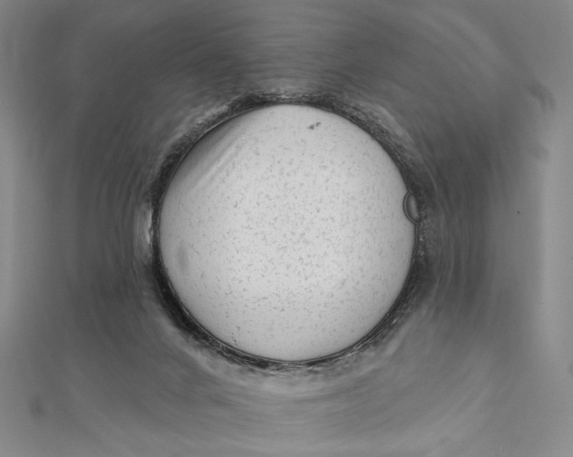 X0000112060024200908251031