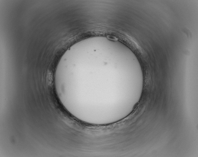 X0000112060025200908251031