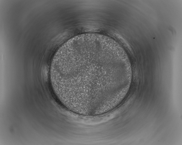 X0000112060026200908251031