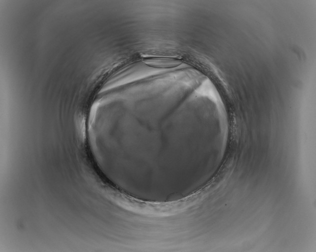 X0000112060027200908251031