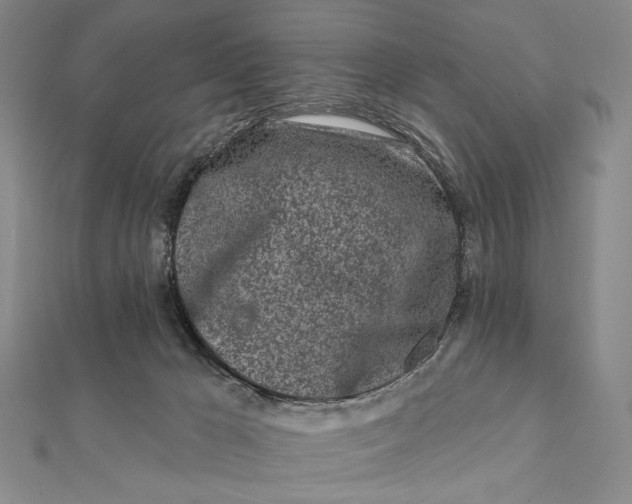 X0000112060029200908251031