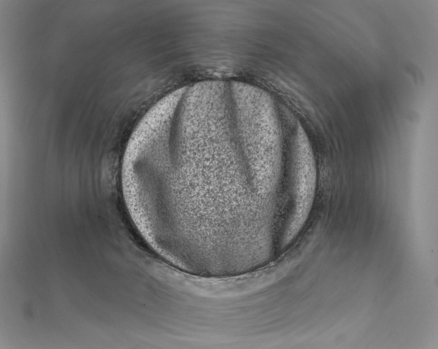 X0000112060030200908251031