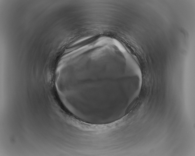 X0000112060031200908251031