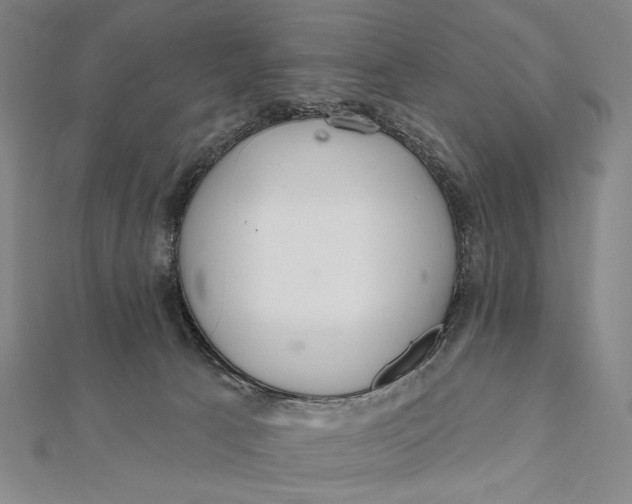 X0000112060033200908251031