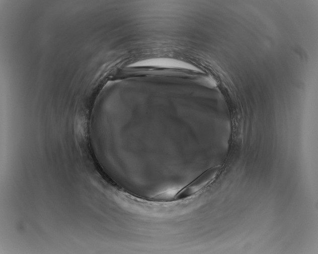 X0000112060035200908251031