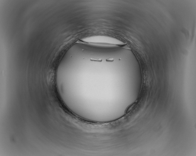 X0000112060036200908251031