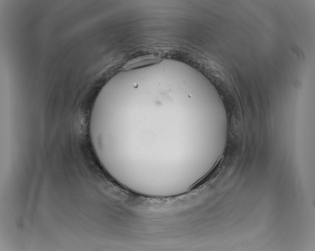 X0000112060037200908251031