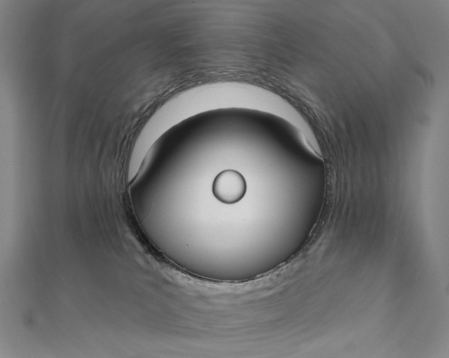 X0000112060039200908251031