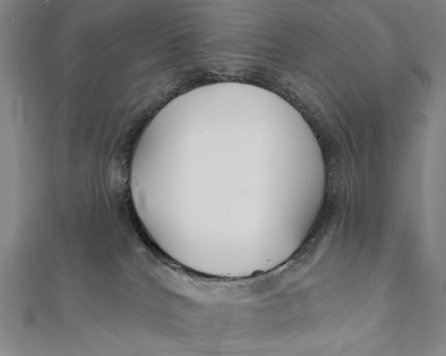 X0000112060040200908251031