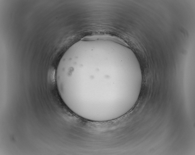 X0000112060041200908251031