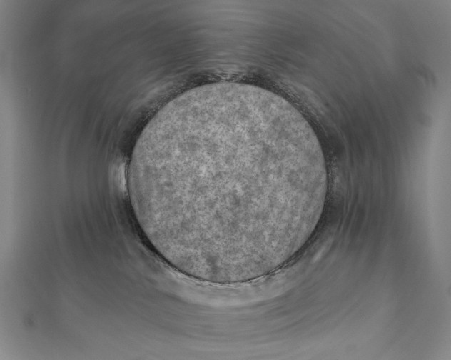 X0000112060042200908251031