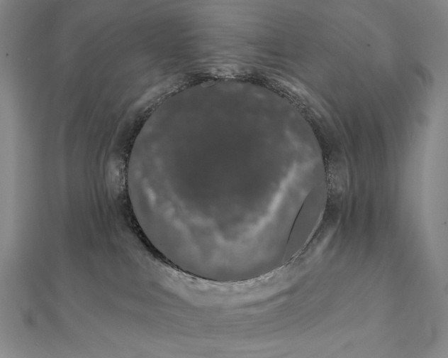 X0000112060043200908251031