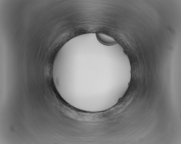 X0000112060044200908251030