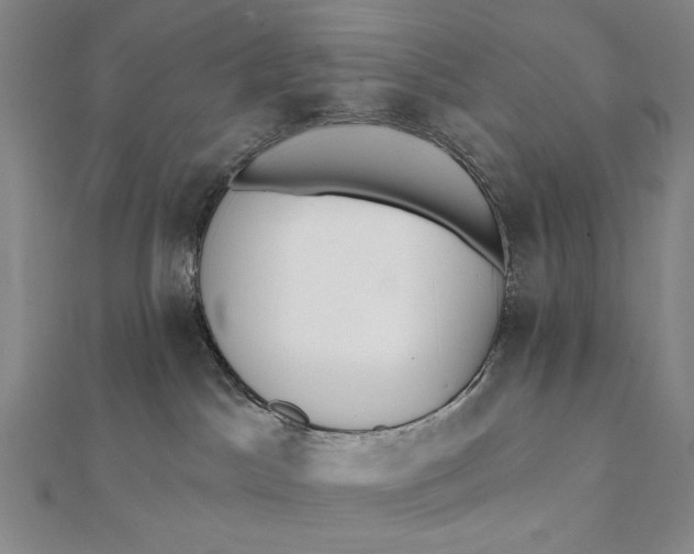 X0000112060045200908251030