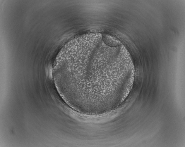 X0000112060046200908251030