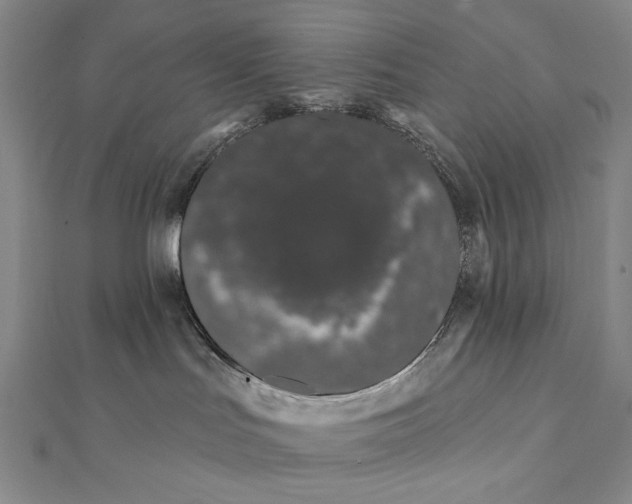 X0000112060047200908251030