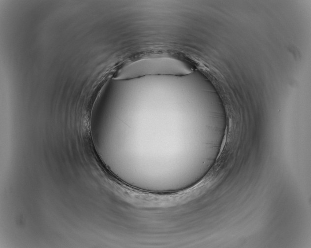 X0000112060048200908251030