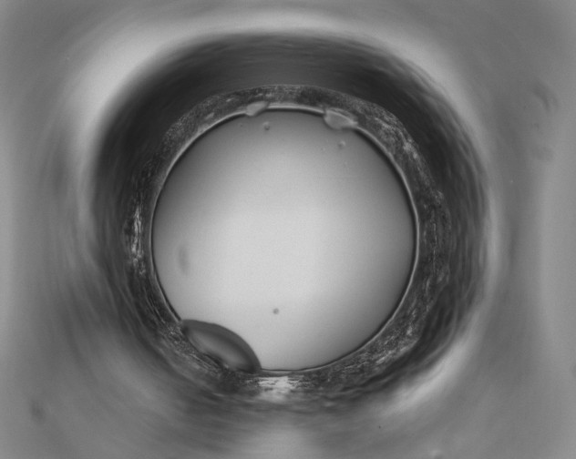 X0000112060050200908251030