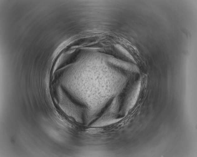 X0000112060051200908251030