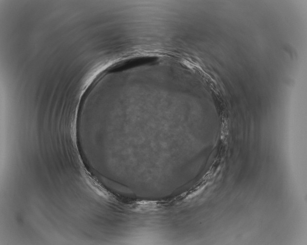 X0000112060052200908251030