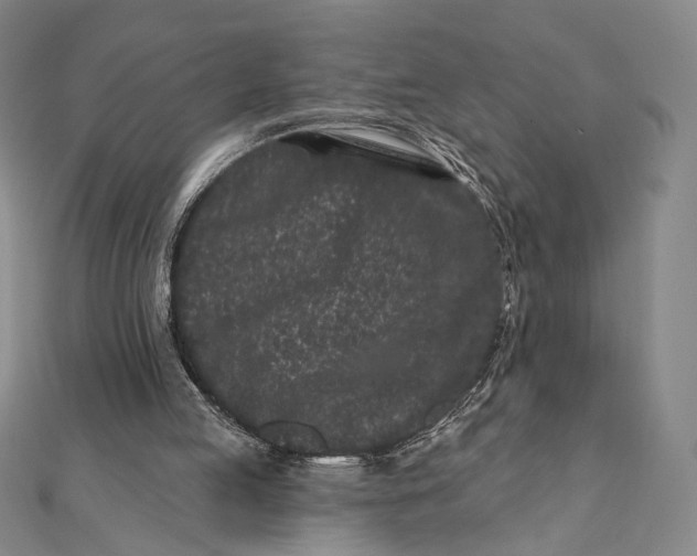 X0000112060053200908251030