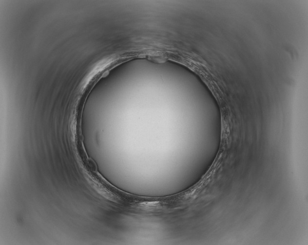 X0000112060054200908251030