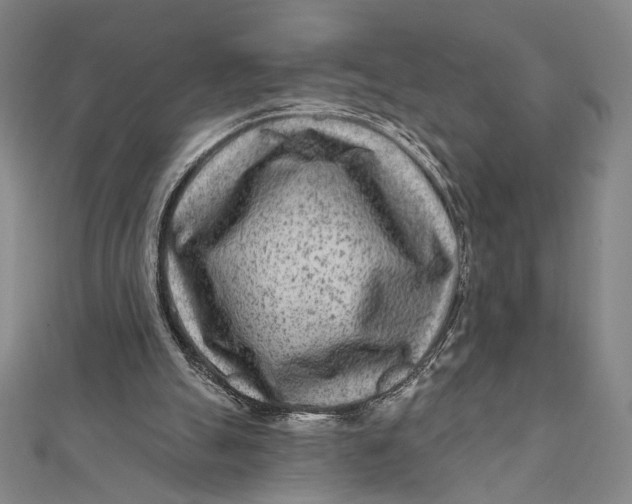 X0000112060055200908251030