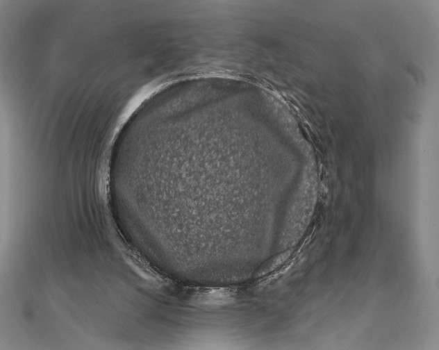 X0000112060056200908251030