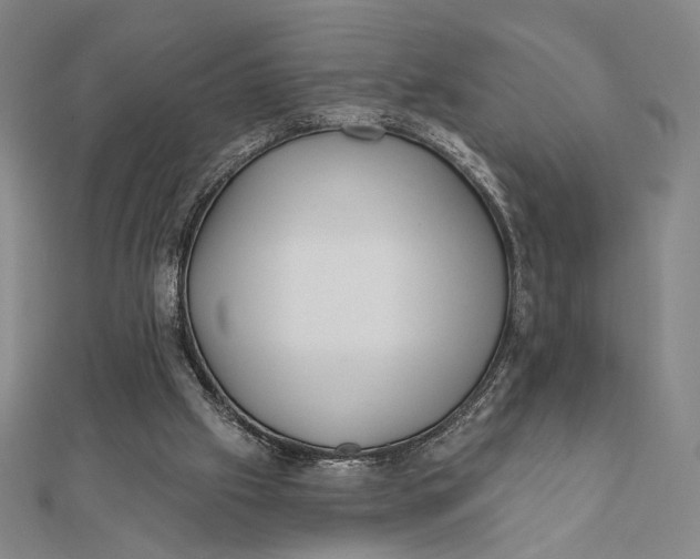 X0000112060057200908251030