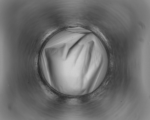 X0000112060058200908251030